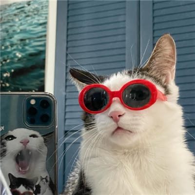 جاوید میاناداد avatar